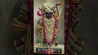 Shrinathji Sharanam mama bolo Giriraj dharan ki Jay [upl. by Shauna]