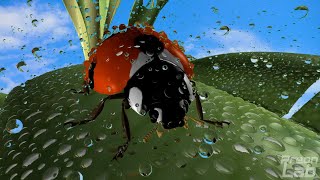 Ladybug Simulation in PreonLab 🐞 [upl. by Ignaz105]