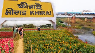 Khirai Flower Garden 2024  Khirai One Day Trip From Kolkata  Khirai Valley of Flowers [upl. by Dera478]