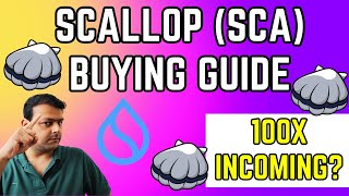 How To Buy Scallop SCA Tokens  Leading Lending Protocol On Sui Network [upl. by Bridie]