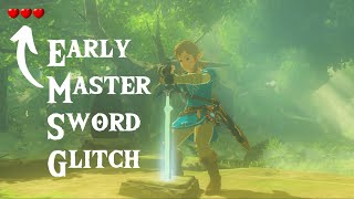 How To Get The Master Sword EARLY  Glitch Made Easy  Breath Of The Wild Guide [upl. by Riccardo]