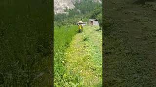 A man with the skills of Grass Cutting and Machine [upl. by Amargo]