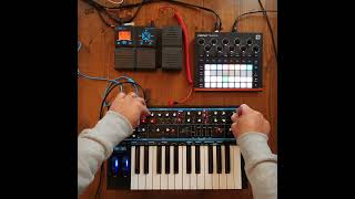 Circuit Tracks and Novation BassStation2 Ambient Jam [upl. by Brenner]