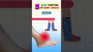 5 Silent Symptoms of Kidney Disease  Chronic Kidney Disease  CKD shortsfeed kidney health [upl. by Rotsen]