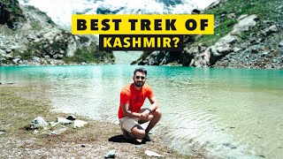 TULIAN Lake Trek in 1 DAY  Kashmirs Best Short Trek  Pahalgam  Kolkata to Kashmir  EP4  4K [upl. by Akamahs]