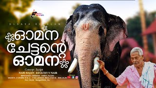 ഓമന ചേട്ടന്റെ ഓമനKerala ElephantPallattu BrahmadathanOmanaChettan on brahmanUlsavakeralamEPI 46 [upl. by Sacken852]