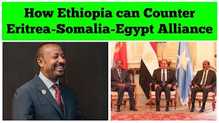 How Ethiopia Can Counter EritreaSomalia Egypt Alliance [upl. by Shalom]