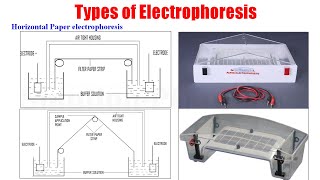 Electrophoresis Part 02  Types of Electrophoresis  Paper Electrophoresis and its Application [upl. by Eiznyl]