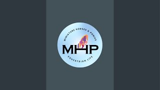 MHP Equestrian Videos is live [upl. by Fonz]