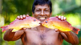 Red Snapper Fried is So Delicious  Red Snapper Fish Cooking Recipe [upl. by Akeimat]