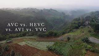 Encoding Comparison  AVC HEVC AV1 and VVC  Part 2 [upl. by Noet239]