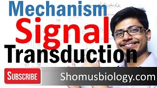 Signal transduction  cell communication pathway [upl. by Nimzzaj]