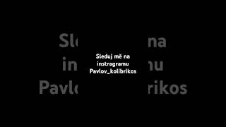 Pavloskolibříkos sleduj a nápis [upl. by Essam567]