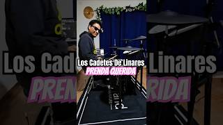 Prenda Querida  Los Cadetes De Linares drums loscadetesdelinares bateristasdemexico viralvideo [upl. by Yzeerb]