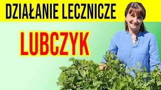 💥LUBCZYK  działanie lecznicze STAWY NERKI DETOKS cz 1 [upl. by Alamaj]