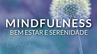 MINDFULNESS MEDITAÃ‡ÃƒO GUIADA 10 MINUTOS DE ATENÃ‡ÃƒO PLENA BEM ESTAR E SERENIDADE [upl. by Anafetse]