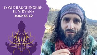 Come raggiungere il NIRVANA  Parte 12 [upl. by Adaj]