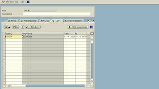 SAP Role Creation in PFCG [upl. by Lay37]