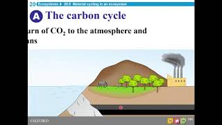 HKDSE Biology  Ecosystems  Part 3 [upl. by Magdau]