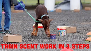 How to Train Your Dog for Scent Work Nosework in 3 Easy Steps [upl. by Elleinnod]