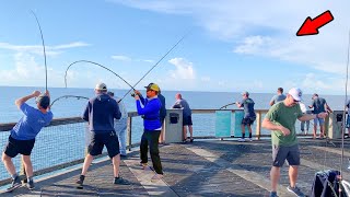 Walked to The End of The Gulf Pier and Saw This [upl. by Stanzel]