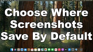 How To Choose Where Screenshot Save By Default On Mac  A Quick amp Easy Guide [upl. by Eiznekcam439]