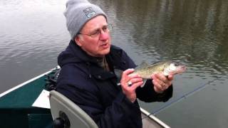 Catching Lake MacBride Walleyes with Northland Plastics and Hutch JigsApril 2011 [upl. by Deadman]