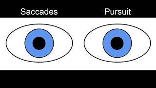 RS Supranuclear Ocular Motor Pathways Part 1  Horizontal Saccades [upl. by Anuahs]