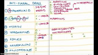 Easy Ways to Remember All The AntiFungals [upl. by Eillas]