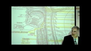 DIGESTIVE SYSTEM PART 2 PHARYNX HEAD amp NECK by Professor Fink [upl. by Leumhs]