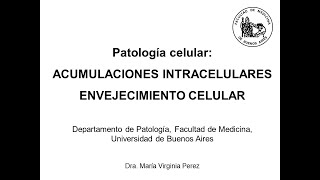 Clase 3 Acumulaciones intracelulares y envejecimiento celular Dra Virginia Perez [upl. by Nonad745]