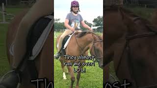 More Jumping Practice horse equestrian horsesport horsegirl [upl. by Aytak]