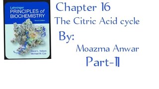 Reaction of the citric acid cycle chapter 16 Part2 in urdu lehninger principles of biochemistry [upl. by End]