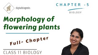 Morphology of Flowering Plants  Class 11 Biology [upl. by Morgen]