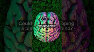 Are We Accidentally Building A Planetary Brain [upl. by Htebazle]