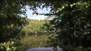 Le Val sans Retour en Forêt de Brocéliande [upl. by Graff817]