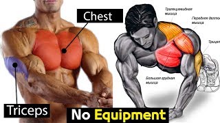 FULL EXERCISE BODYWEIGHT CHEST  TRICEPS workout [upl. by Asiram]