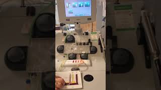 Apheresis part 3 Entering patient and procedure data [upl. by Frodi788]