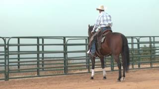 Leg Yield  Horse Training [upl. by Susan]