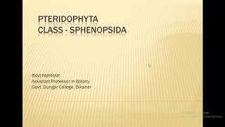 Pteridophyta  Class  Sphenopsida [upl. by Ecinreb]