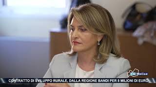 Contratto di sviluppo rurale dalla Regione bandi per 8 milioni di euro [upl. by Leva]