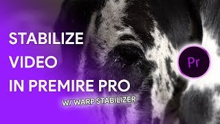 Stabilize Video in Premiere Pro CC 2018 [upl. by Haonam]