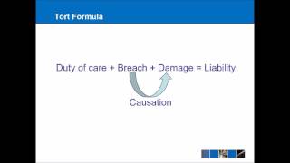 Introduction to Tort Law [upl. by Teteak288]