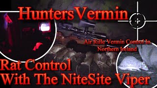 Air Rifle Hunting Rat Control With The NiteSite Viper [upl. by Markland]