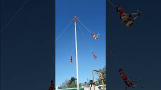 voladores de xochiapulco Puebla [upl. by Refotsirk]