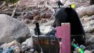 Viasat Nature Eastern Europe  Bear Whisperer Returns promo [upl. by Reginnej]