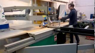 Altendorf F45 in action [upl. by Airasor]