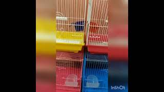 Birds 🐦 Cages For Salebirdscagecheapestfancycagecagemakingbirdcagesellerharidwarbudgie [upl. by Xed458]