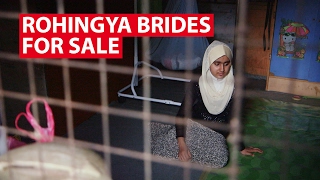 Rohingya Brides For Sale In Malaysia [upl. by Renba948]