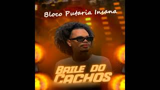 BAILE DO CACHOS  BLOCO DOS AMIGOS INSANO  2k24 [upl. by Maller]